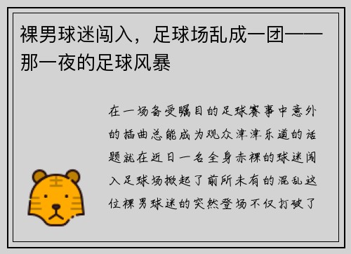 裸男球迷闯入，足球场乱成一团——那一夜的足球风暴